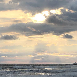 Meet your Posher, Sasha